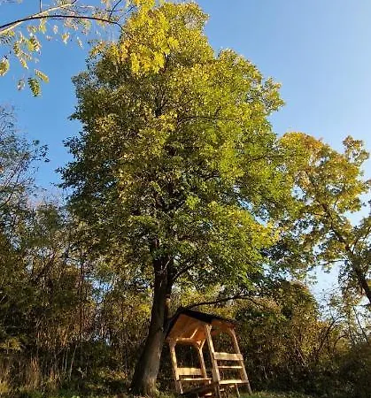 Neo Jezero Bruje בית נופש