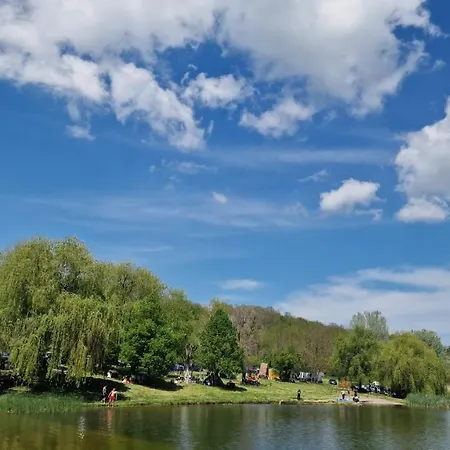 Neo Jezero Bruje Дом отдыха Erdevik