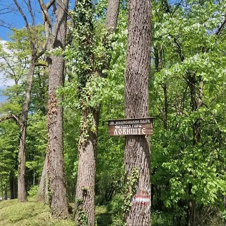 Neo Jezero Bruje בית נופש