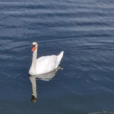 Neo Jezero Bruje Дом отдыха *