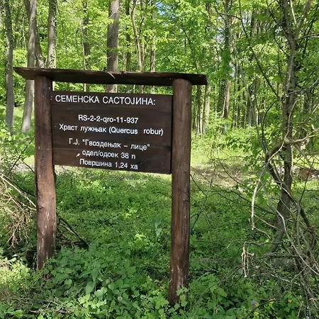 Neo Jezero Bruje בית נופש *